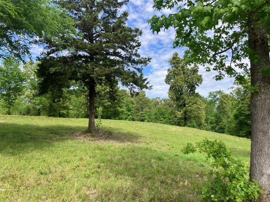 TBD Ridgeline Loop, Winona, TX 75792 - #3