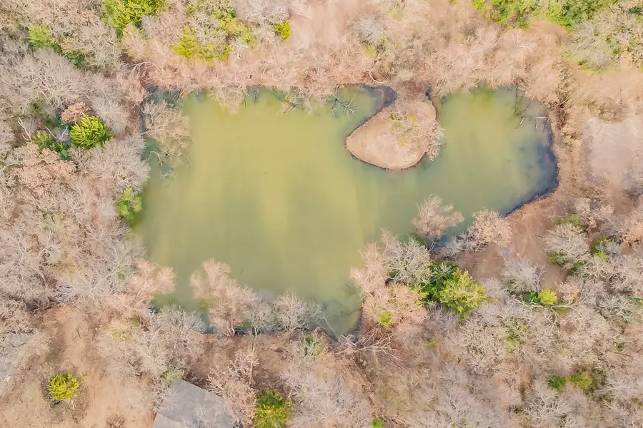 3117 & 3115 W Division Street, Arlington, TX 76012 - #3