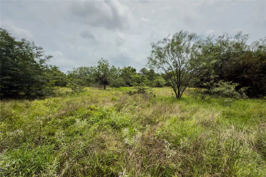 Lot 4 County Road 173, Marlin, TX 76661 - #3