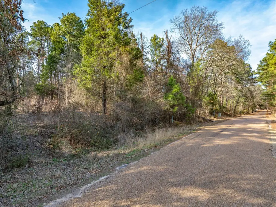 TBD County Road 3520, Brownsboro, TX 75756 - #2