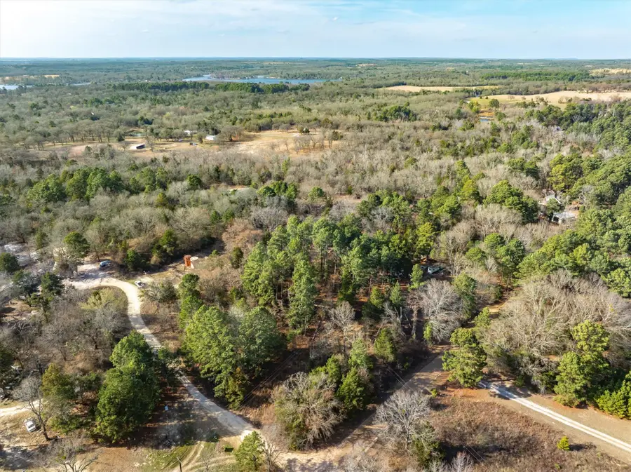 TBD County Road 3520, Brownsboro, TX 75756 - #3