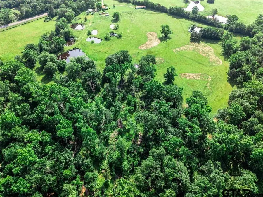 16376 Texas Highway 11 E, Winnsboro, TX 75494 - #3