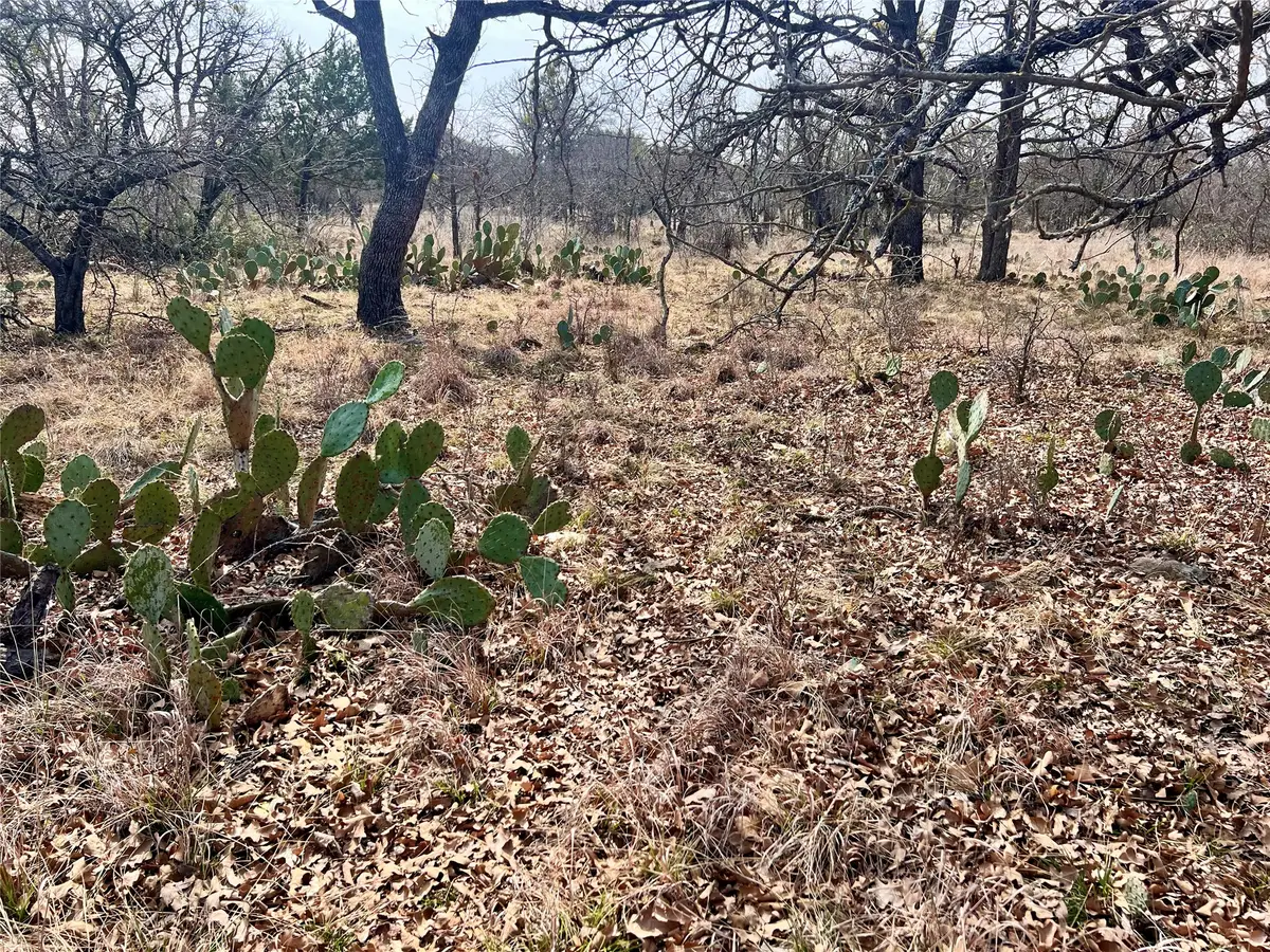 Lot 64 Janda Lane, Brownwood, TX 76801 - #1