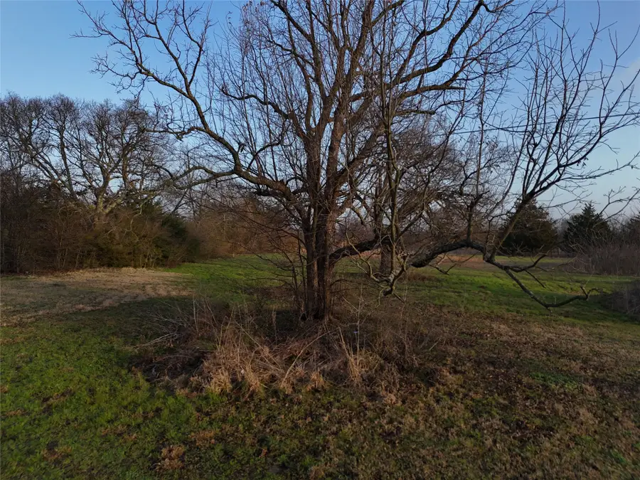 214 Hwy 34, Ladonia, TX 75449 - #3