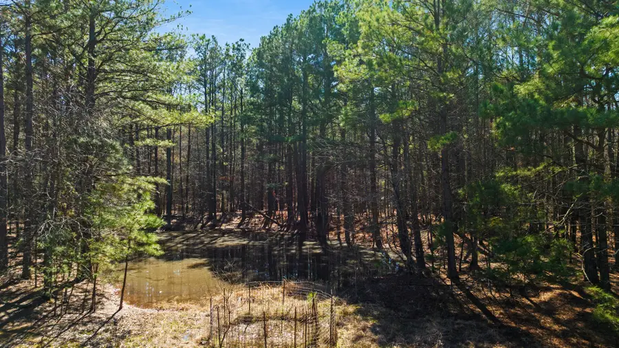 TBD #2 County Road 2237, Bagwell, TX 75412 - #2