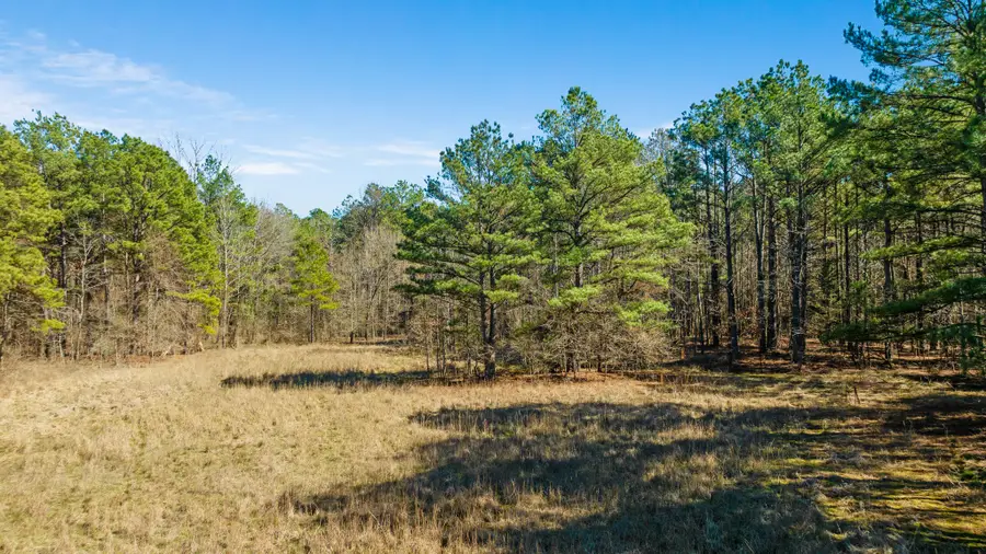 TBD #2 County Road 2237, Bagwell, TX 75412 - #3