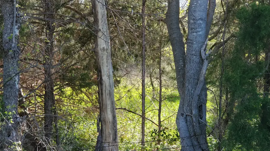 13700 Gholson Road, Gholson, TX 76705 - #3