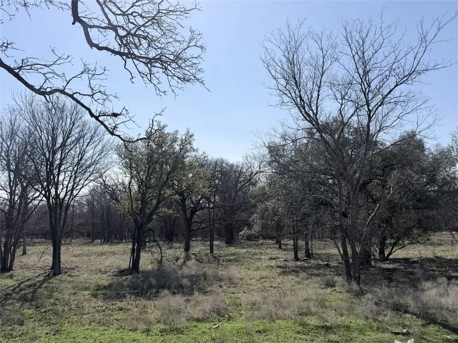 Lot 9 Lakewood Drive, Whitney, TX 76692 - #3