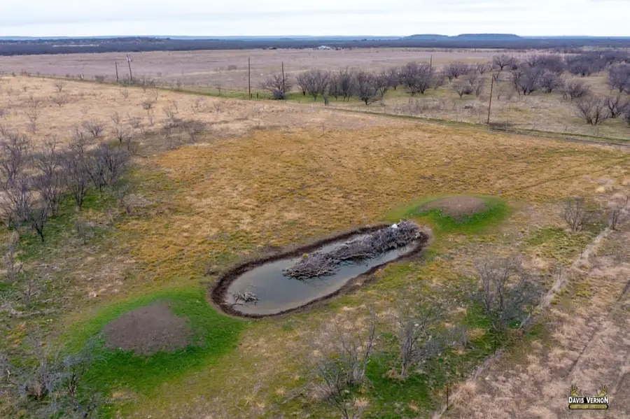 1240 Fm 2312, Moran, TX 76464 - #3