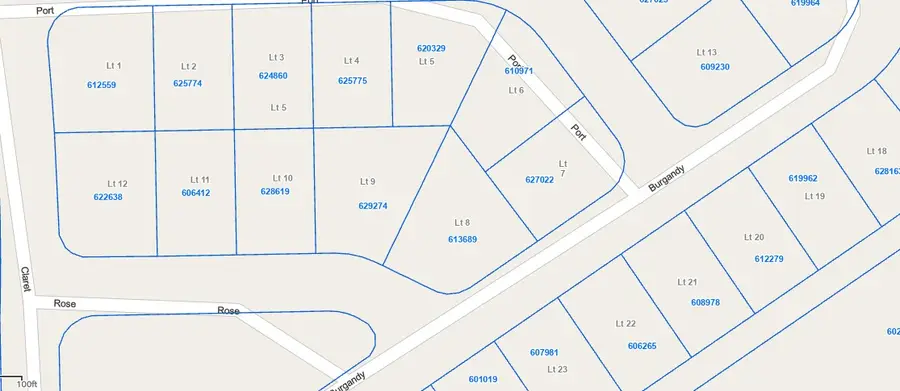 Lot 20 Burgandy, Hilltop Lakes, TX 77871 - #2