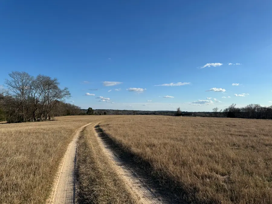 7240 E Hwy 294, Elkhart, TX 75839 - #3