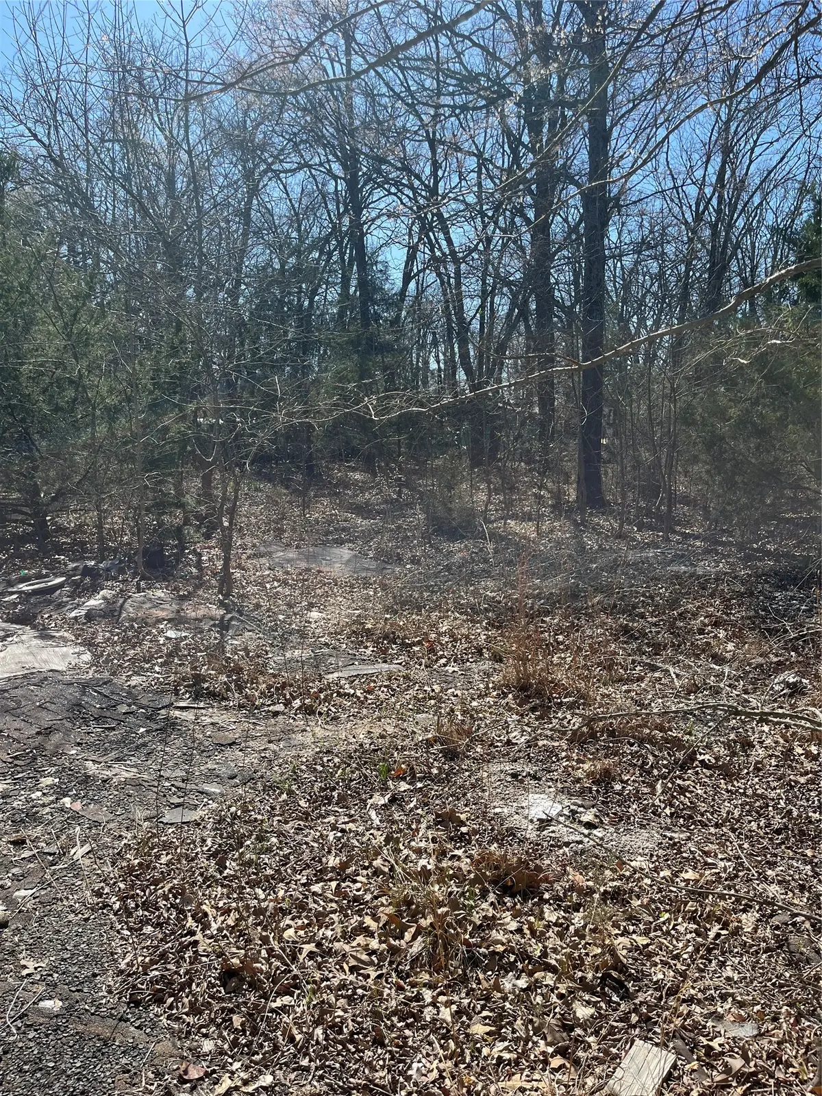 00 Cr-3605, Quinlan, TX 75474 - #1