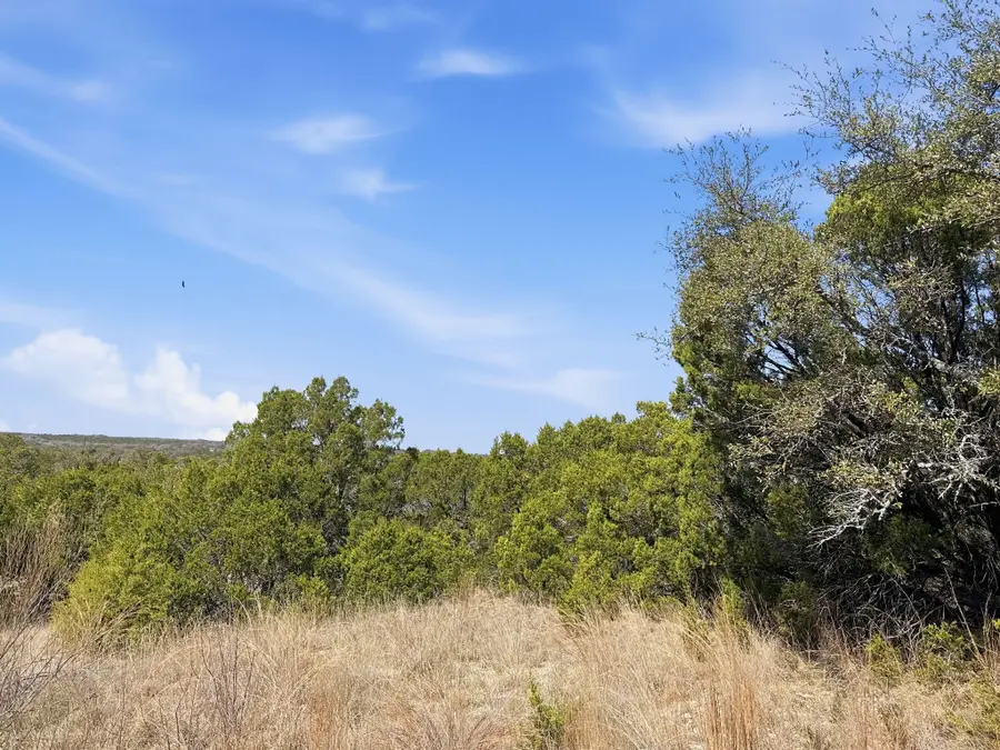 Lot 8 Ph 5 Flint Rock Court Road, Evant, TX 76525 - #2