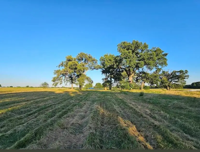 TBD County Road 3512, Dike, TX 75437 - #3