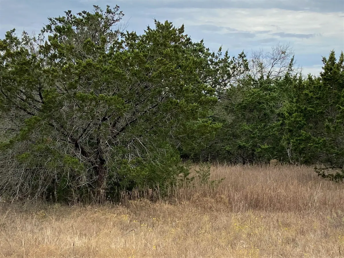 36064 Cedar Ridge Drive, Whitney, TX 76692 - #1