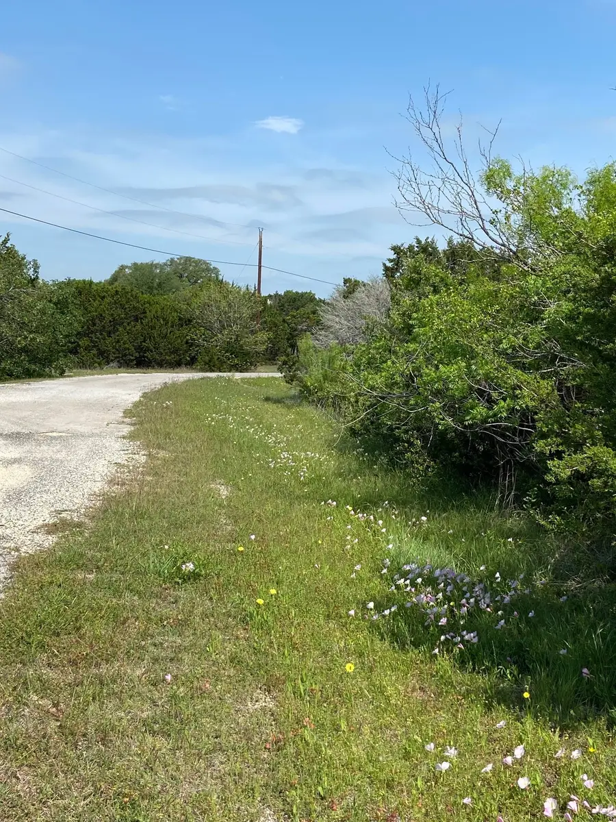 36064 Cedar Ridge Drive, Whitney, TX 76692 - #3