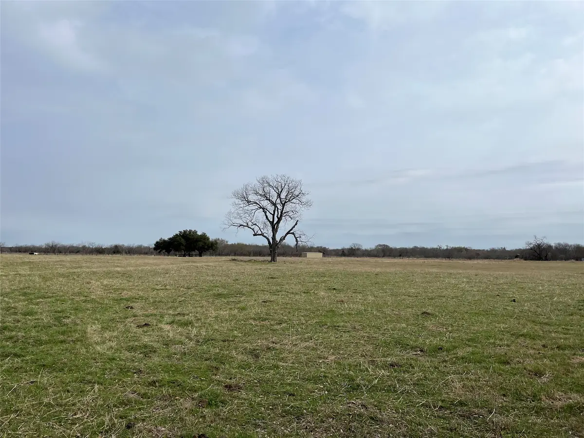 TBD NW Cr 4010, Blooming Grove, TX 76626 - #1