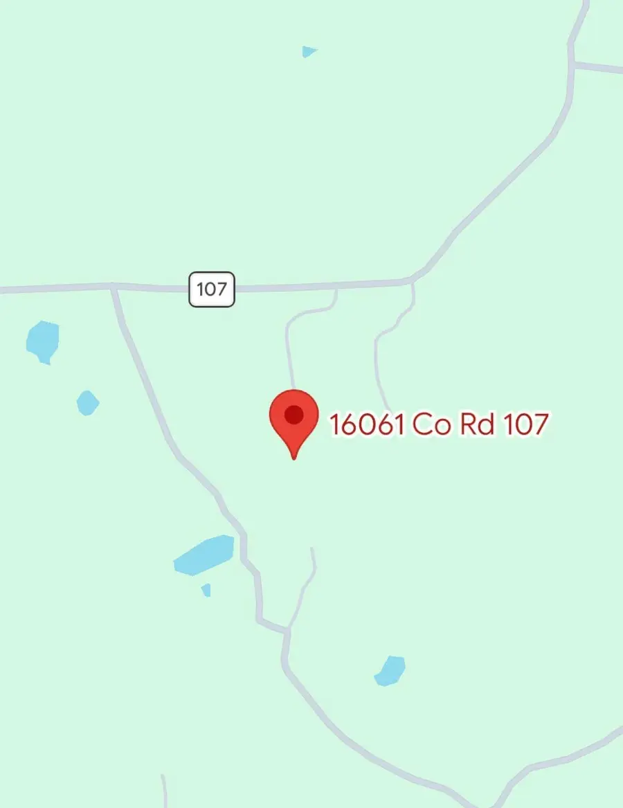 16061 County Road 107, Mingus, TX 76463 - #3