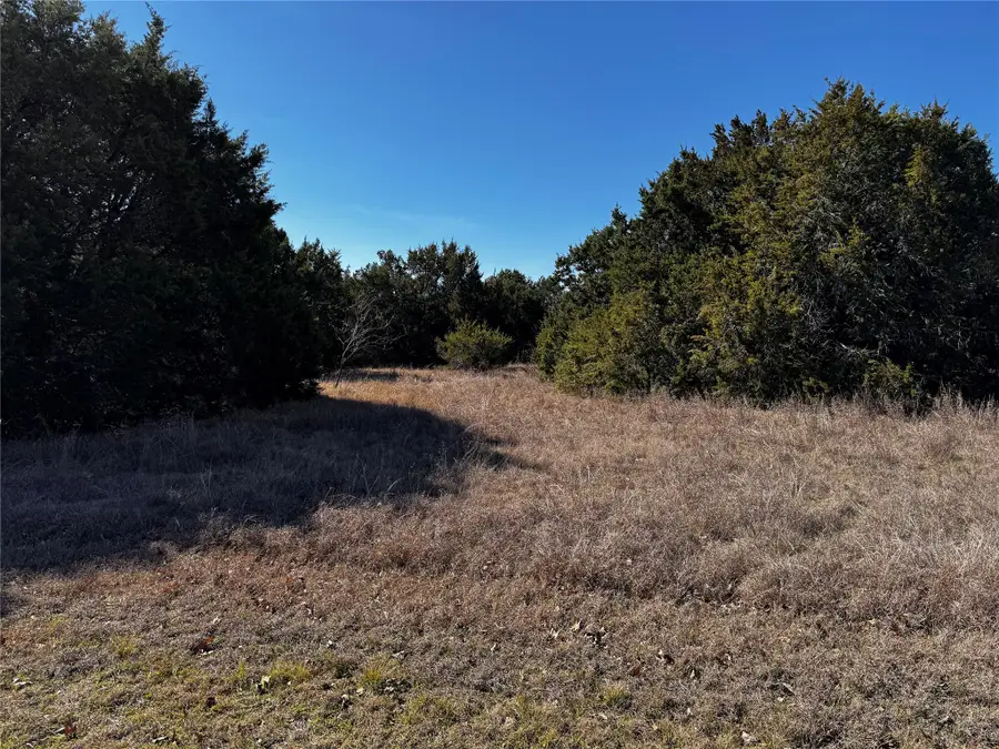 43096 Coneflower Dr, Whitney, TX 76692 - #3