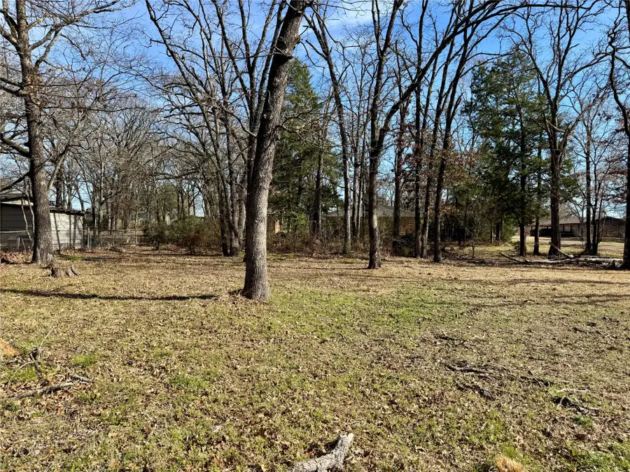 1353 Shady Lane, Canton, TX 75103 - #2