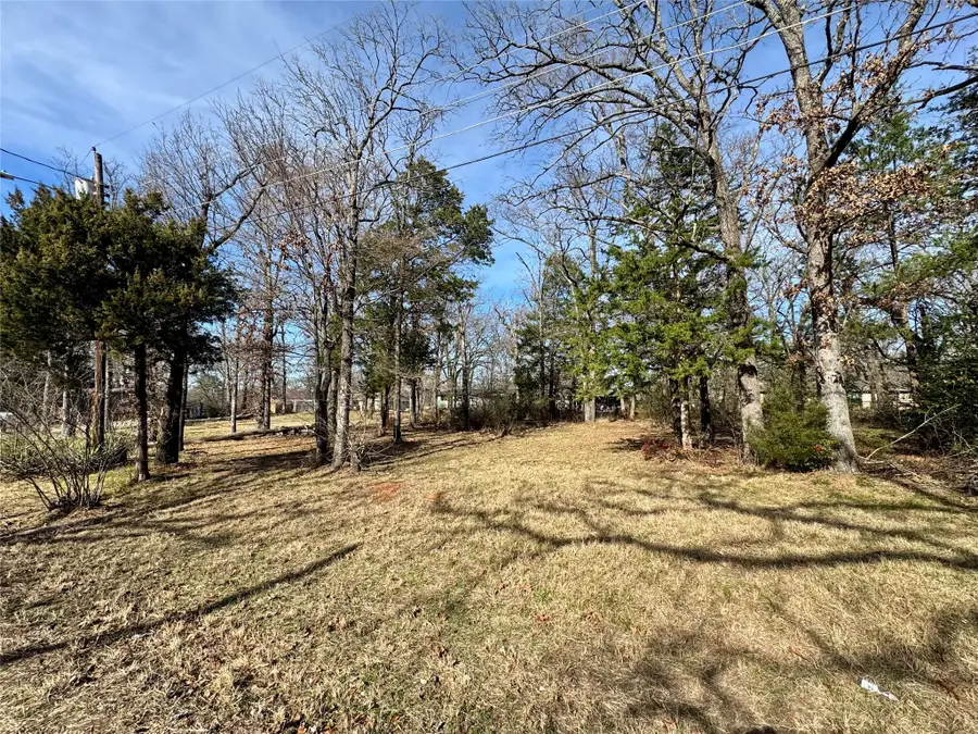 1353 Shady Lane, Canton, TX 75103 - #3