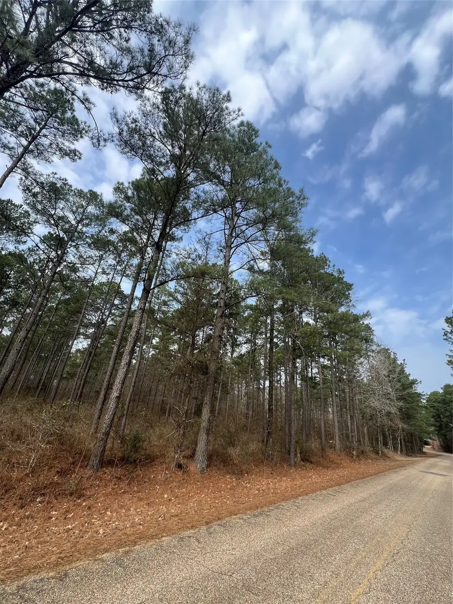 00 Vander Almond Road Road, Minden, LA 71055 - #3