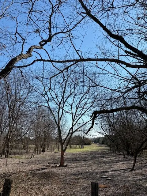 000 Cr-4518, Wolfe City, TX 75496 - #1