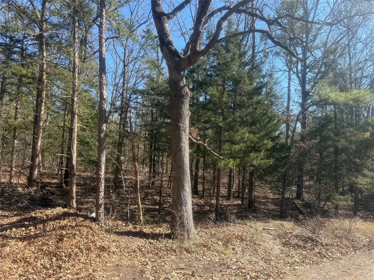 01 Fm-906 W, Powderly, TX 75473 - #1