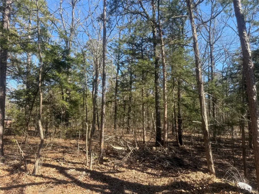 01 Fm-906 W, Powderly, TX 75473 - #2