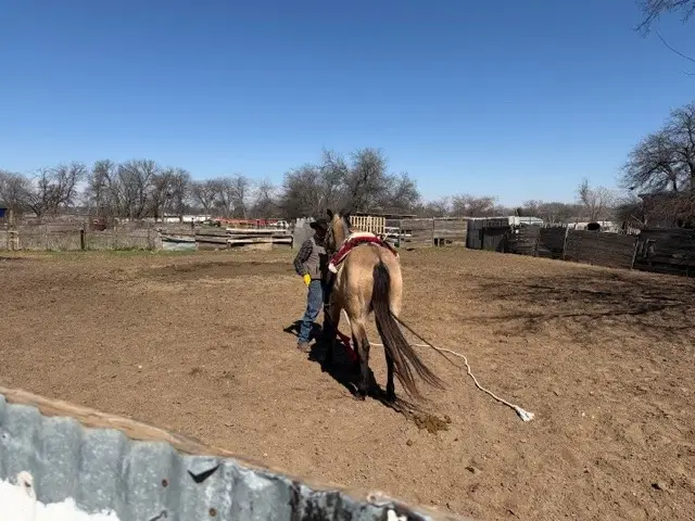 4815 Garden Lane, Fort Worth, TX 76119 - #3