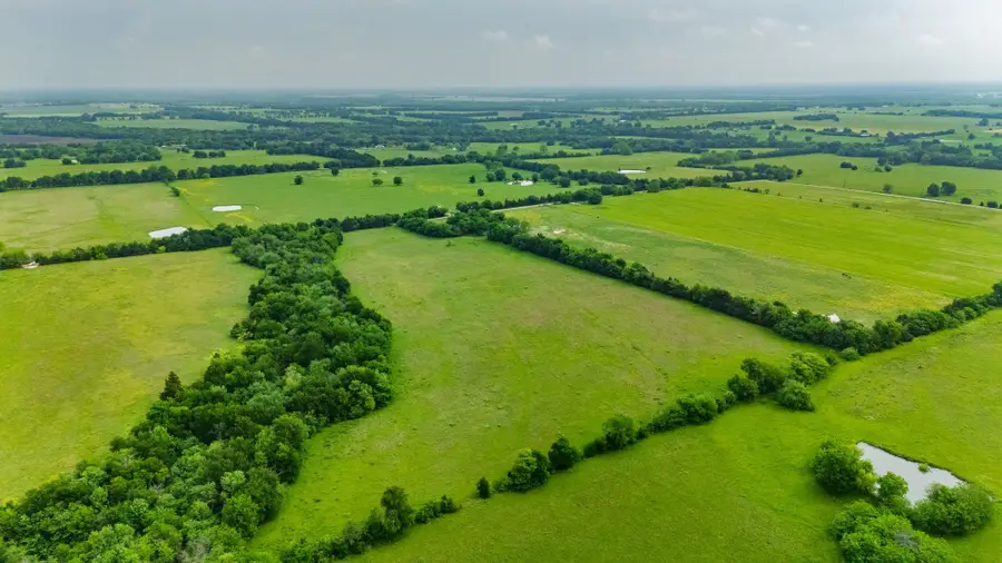 TBD Cr 4705, Commerce, TX 75428 - #2