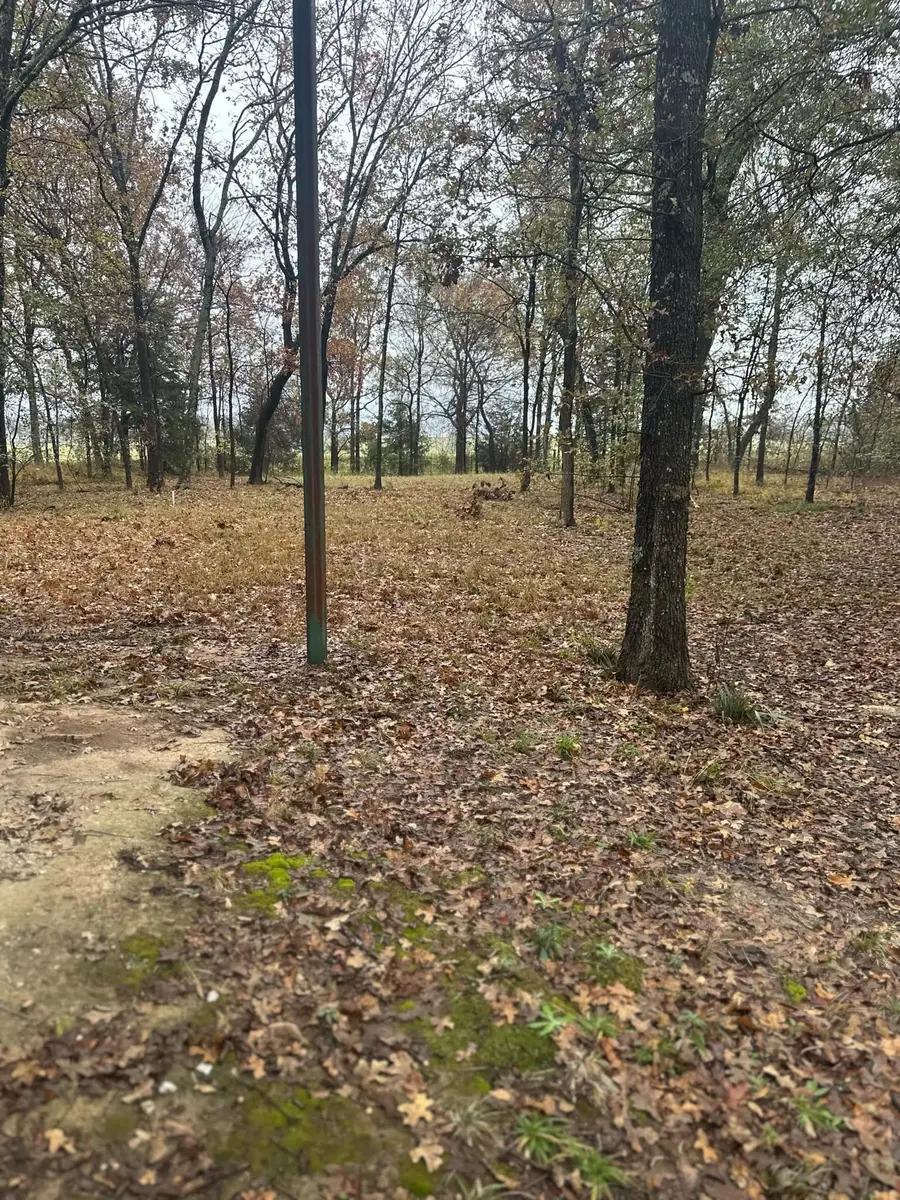 225 County Road 1975, Yantis, TX 75497 - #3