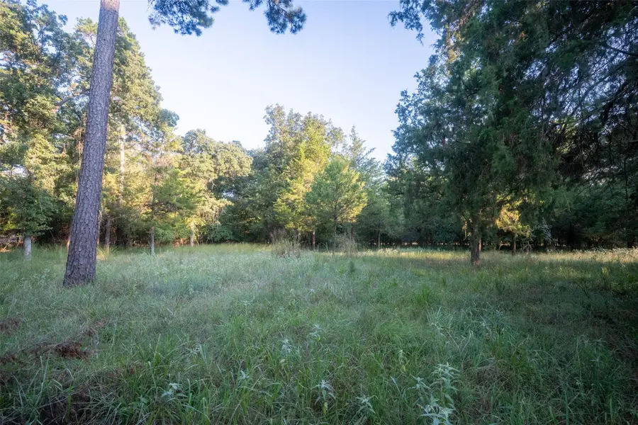 Lots 2, 3, 47 & 48 Kings Country Blvd, Scroggins, TX 75480 - #3