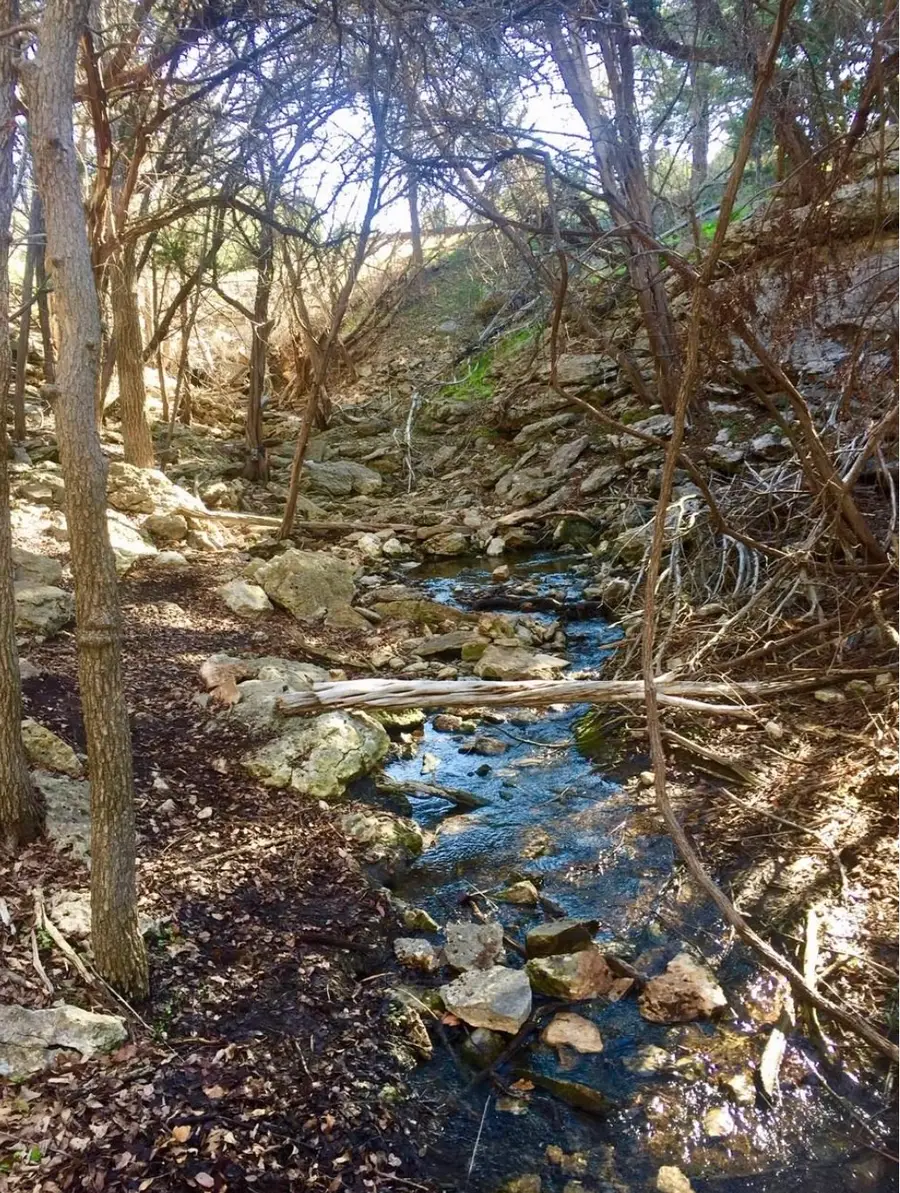 2005 Hells Gate Loop, Strawn, TX 76475 - #2