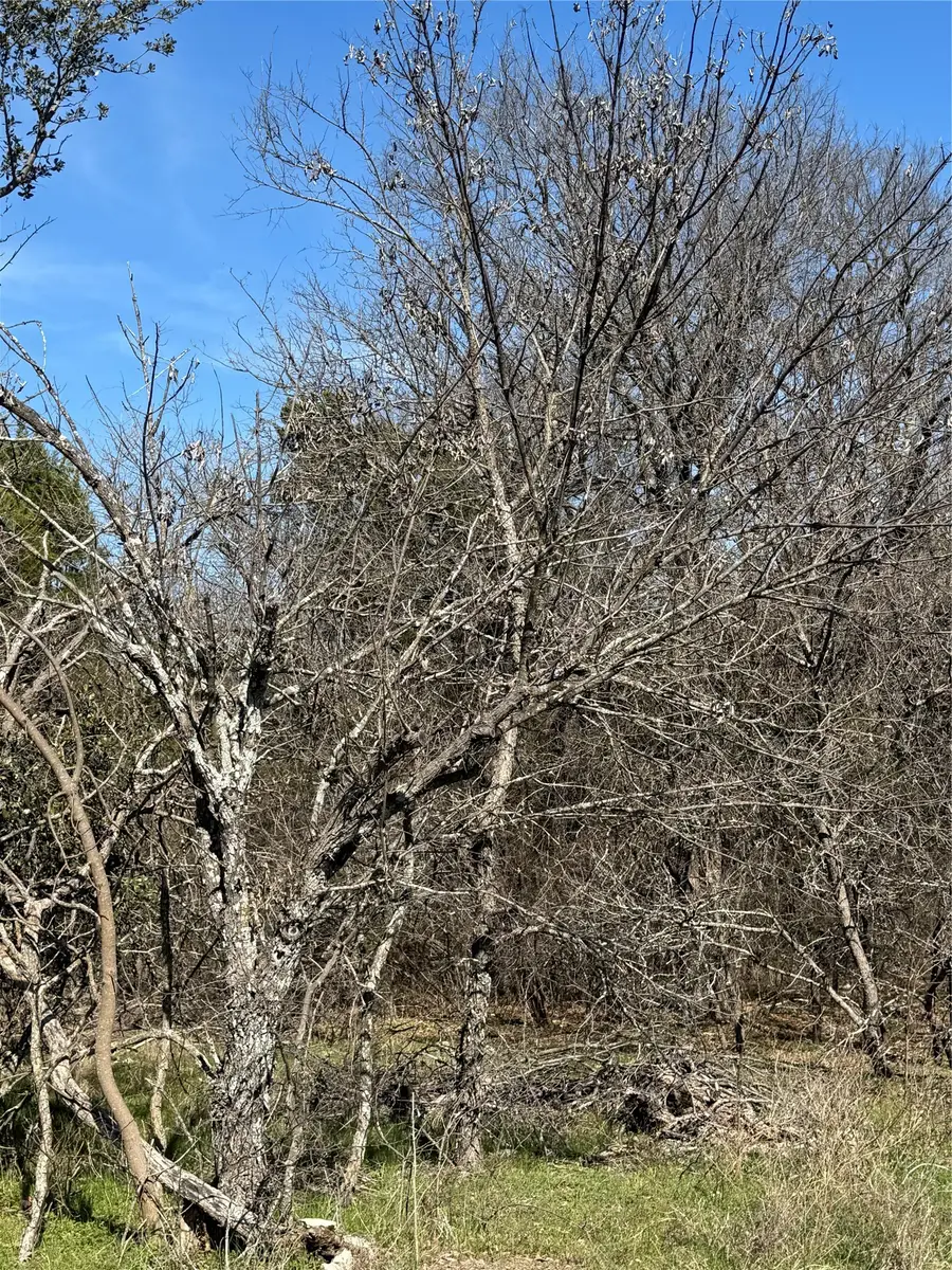 1280 Paint Brush Court, Whitney, TX 76692 - #3