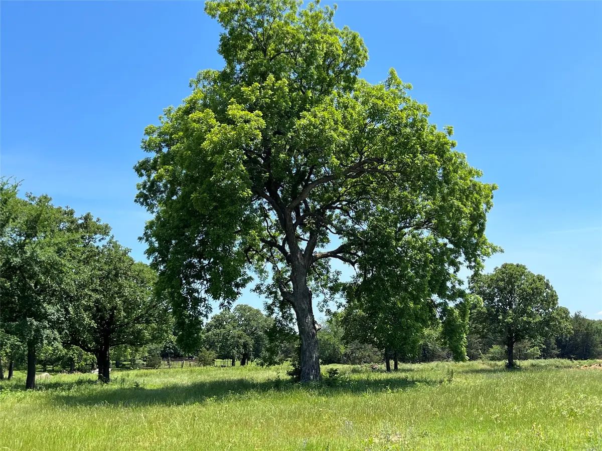 Lot 9 Kiowa Oaks Court, Gainesville, TX 76240 - #1