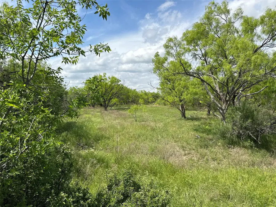 Tract 11 AC Cr 150, Abilene, TX 79601 - #2