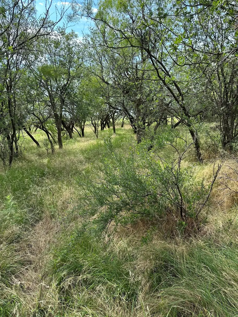 Tract 11 AC Cr 150, Abilene, TX 79601 - #3