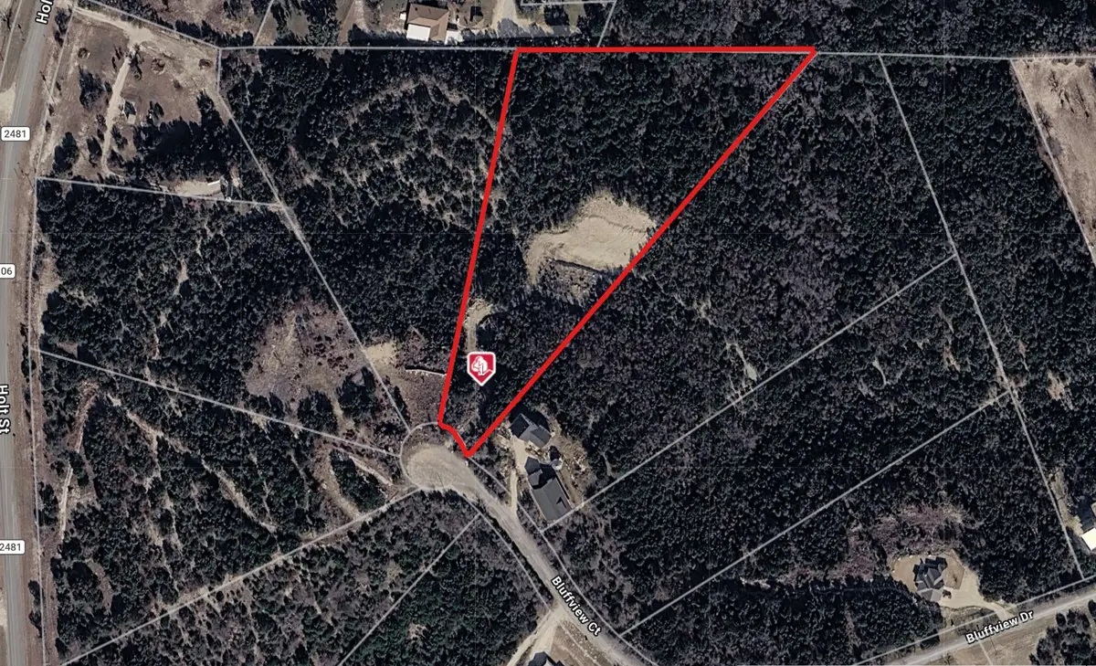 406 Bluff View Court, Bluff Dale, TX 76433 - #1