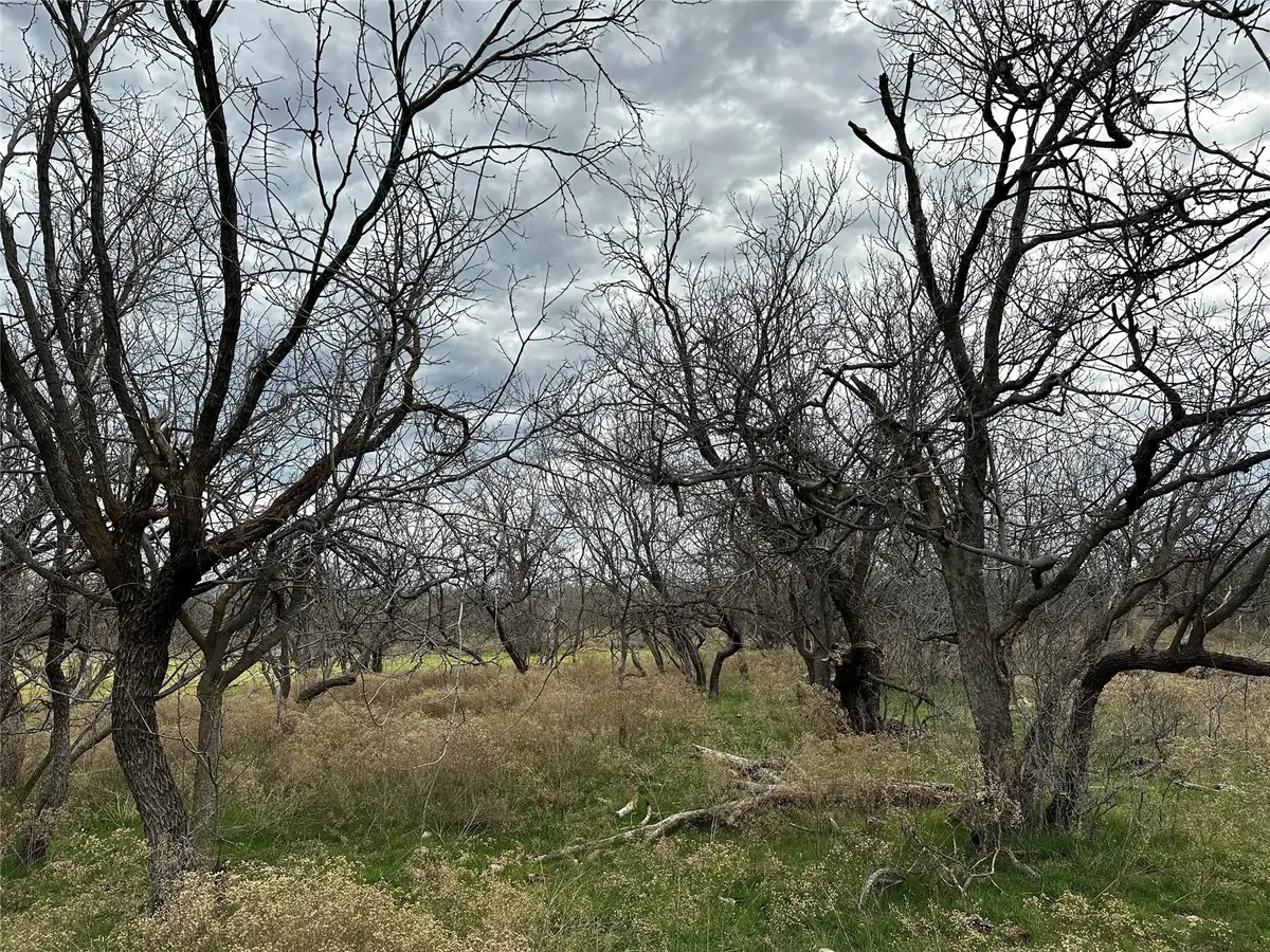 Tract 13 AC Cr 105, Abilene, TX 79601 - #1