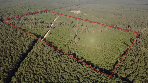 None Pacton-alexandria Road, Winnfield, LA 71483