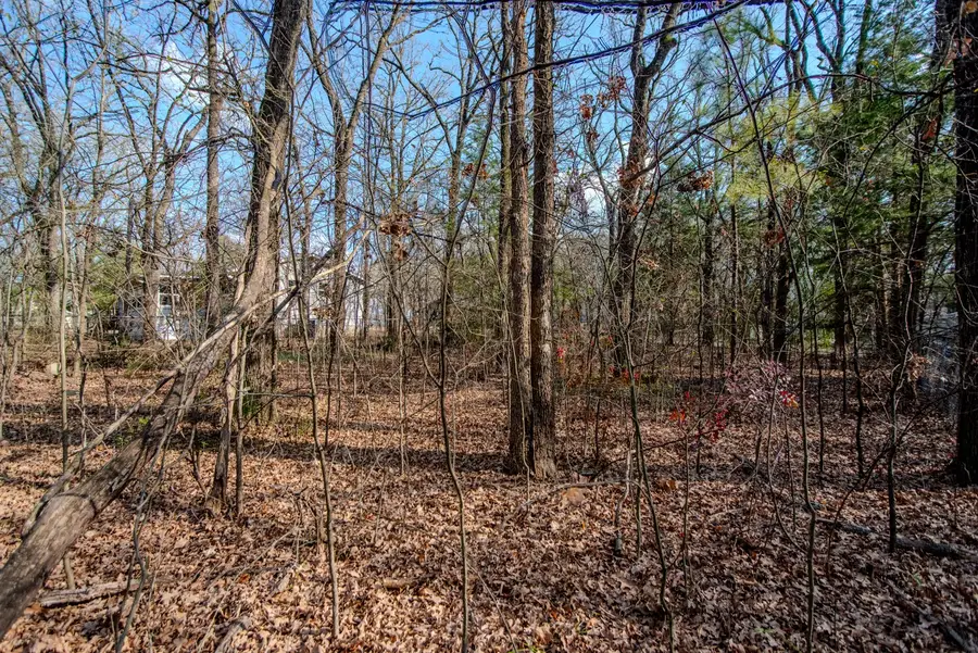 Lot 744 Oak Haven Drive, Gun Barrel City, TX 75156 - #3