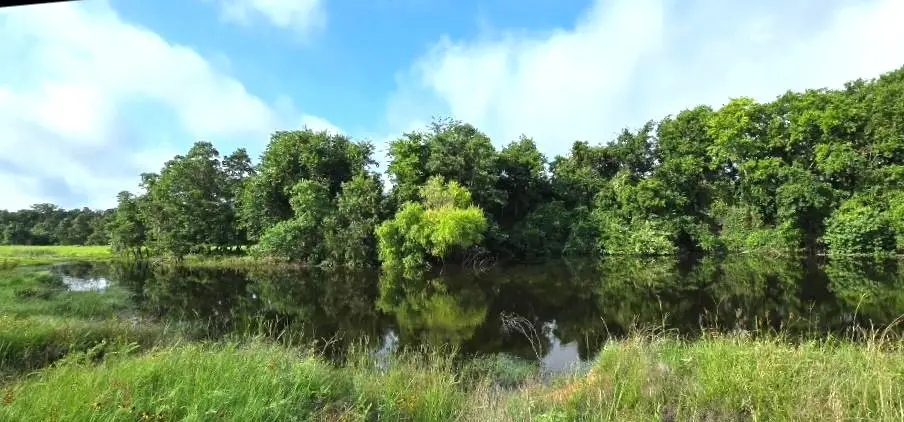 TBD George Wachel Rd. Road, Bremond, TX 76629 - #1