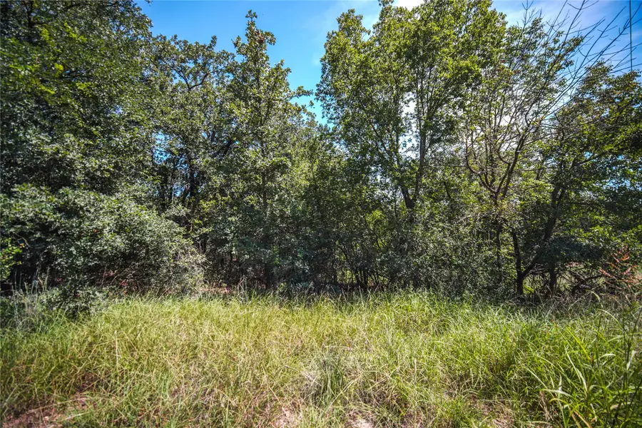 TBD Round Hill Way, Runaway Bay, TX 76426 - #3