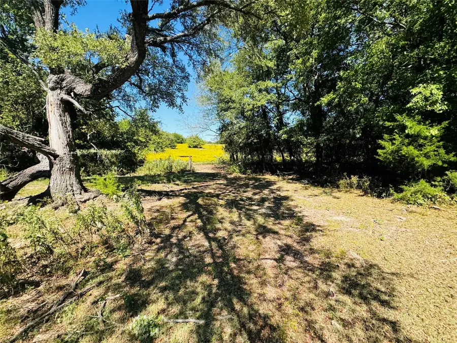 TBD County Road 3045, Dodd City, TX 75438 - #2