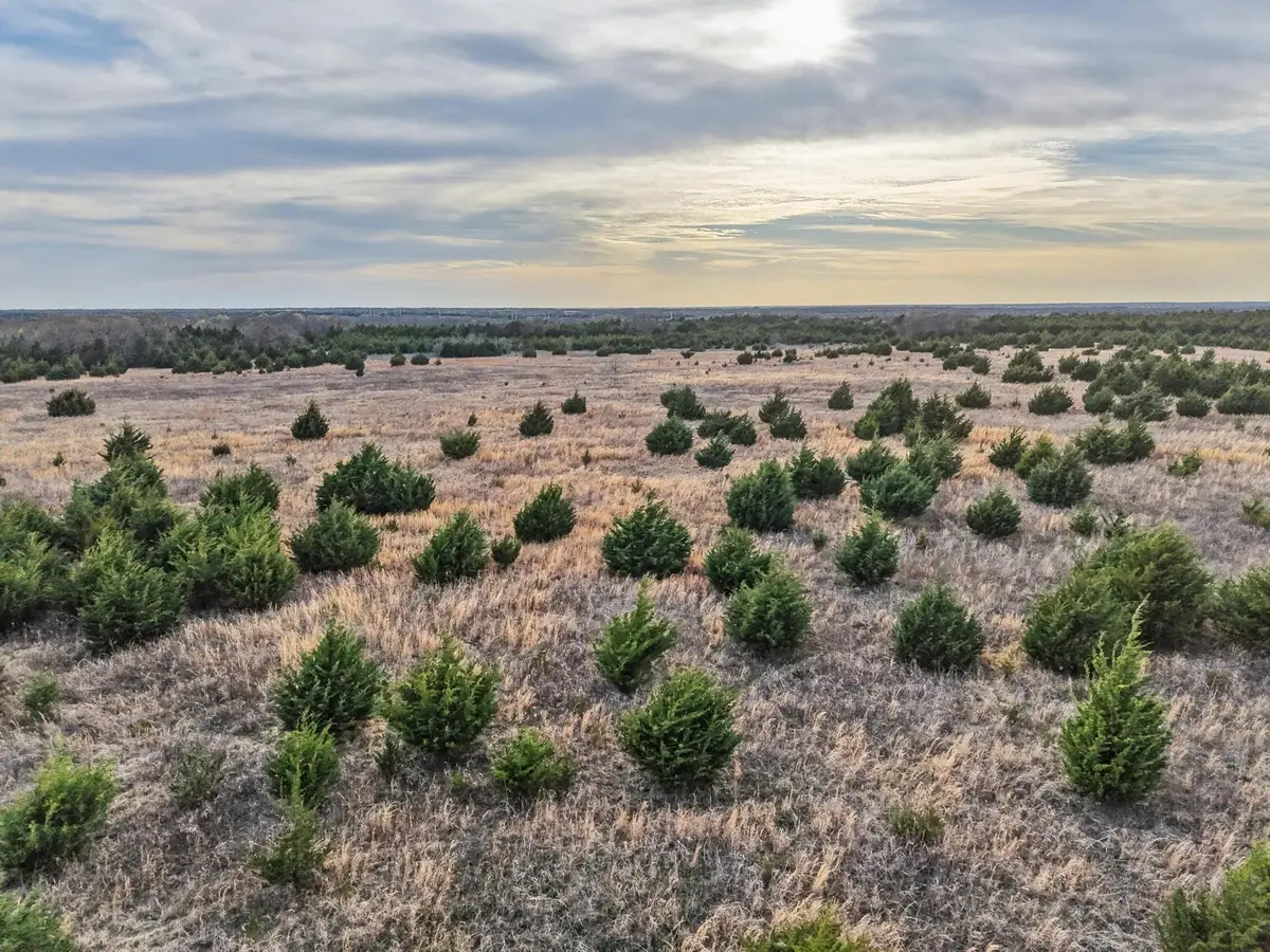 0000 Cr 3107, Bonham, TX 75418 - #1