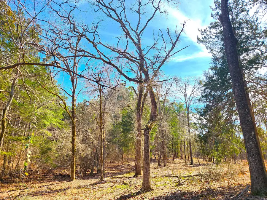 Lot 463 Us-175, Larue, TX 75770 - #3