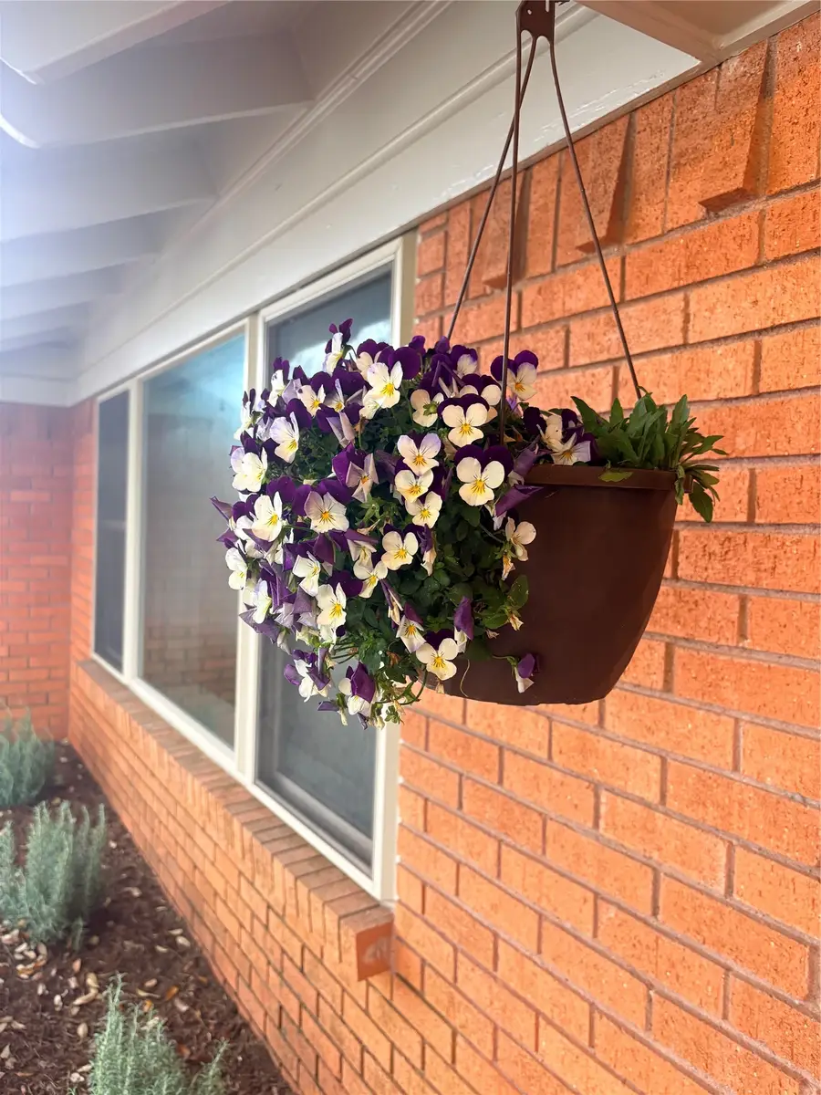 210 N Summit Street, Red Oak, TX 75154 - #3