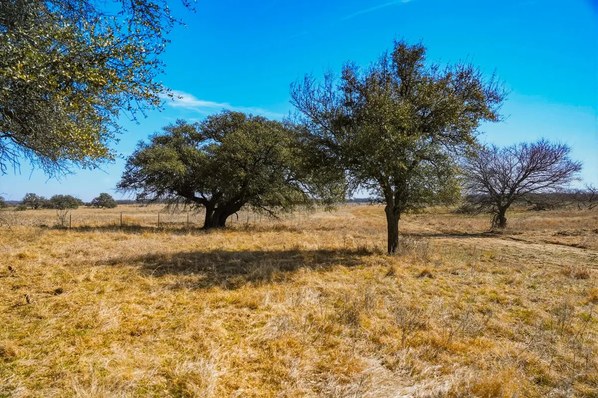 TBD Roney Road, Jacksboro, TX 76458 - #1