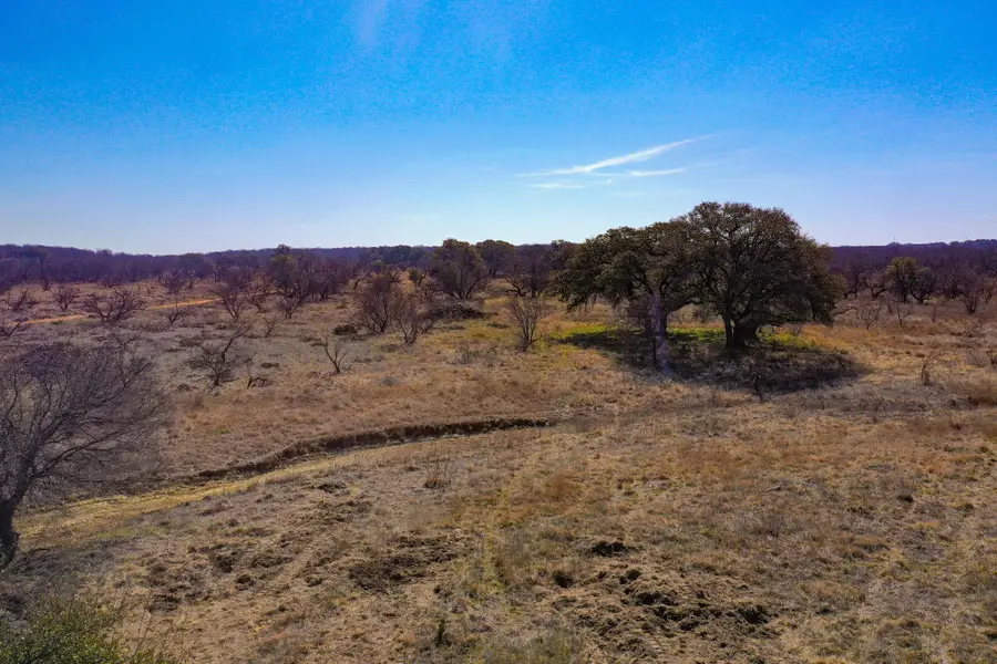 TBD Roney Road, Jacksboro, TX 76458 - #3